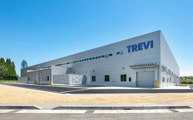 About Trevi Art Sculpture Factory 