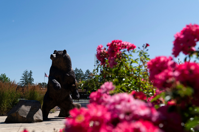 bear garden statues - Trevi statue