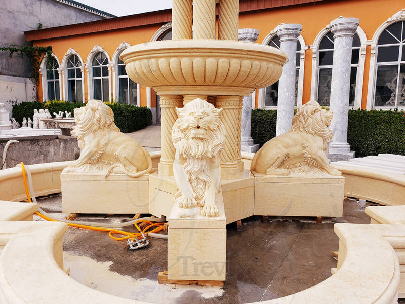 fountain with lion statue - Trevi Statue