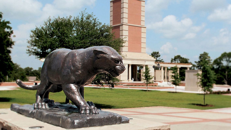 bronze jaguar sculpture - Trevi statue