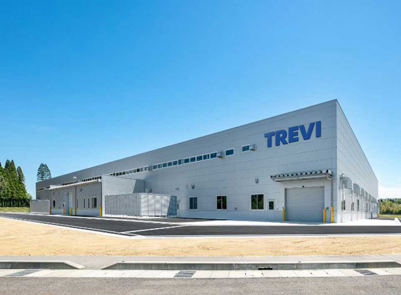 Trevi factory