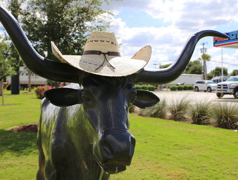 longhorn steer statue