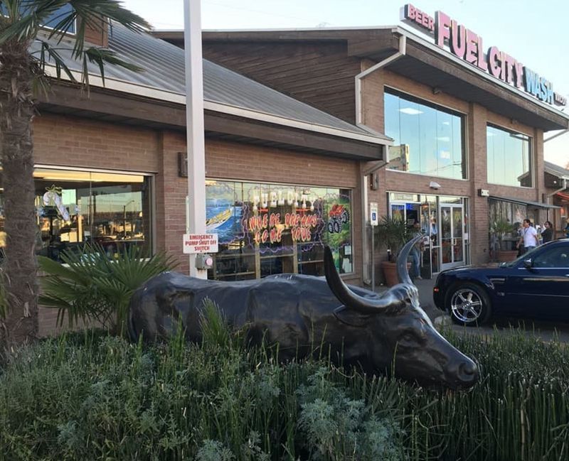 longhorn yard sculpture-01