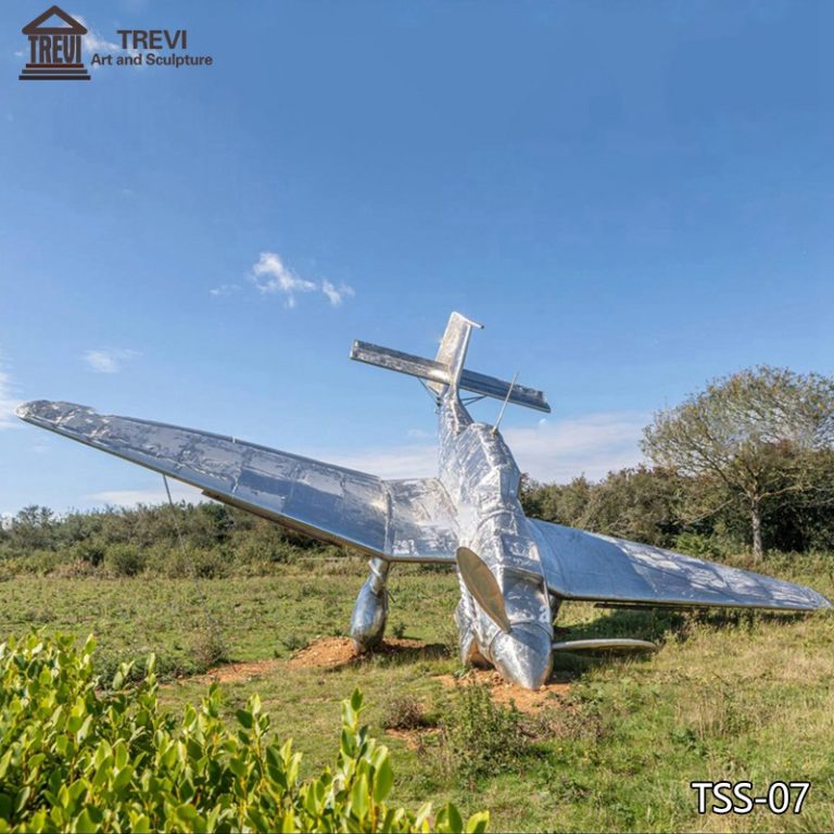 stainless steel airplane