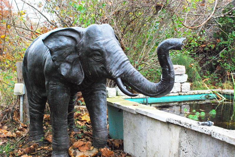 bronze elephant sculptures