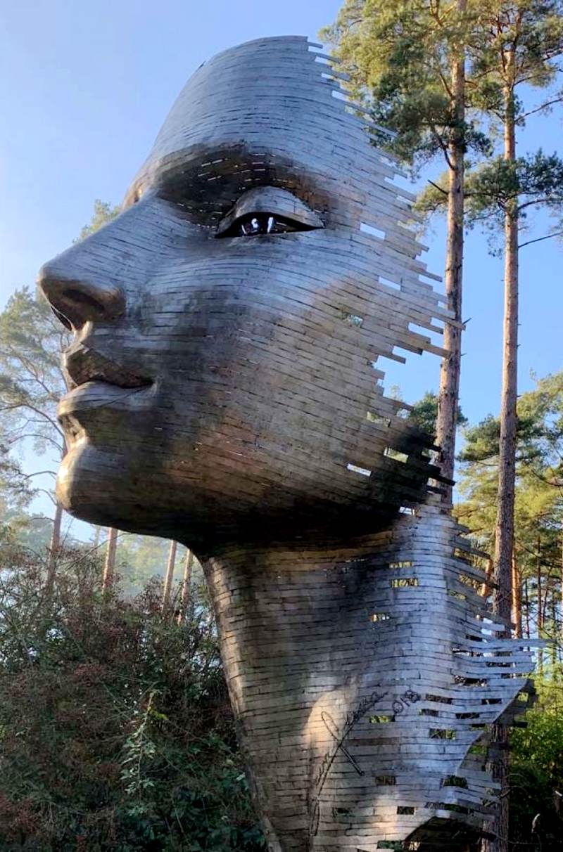 Stainless Steel Face Sculpture Description