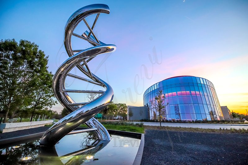 Outdoor DNA Sculpture Shows