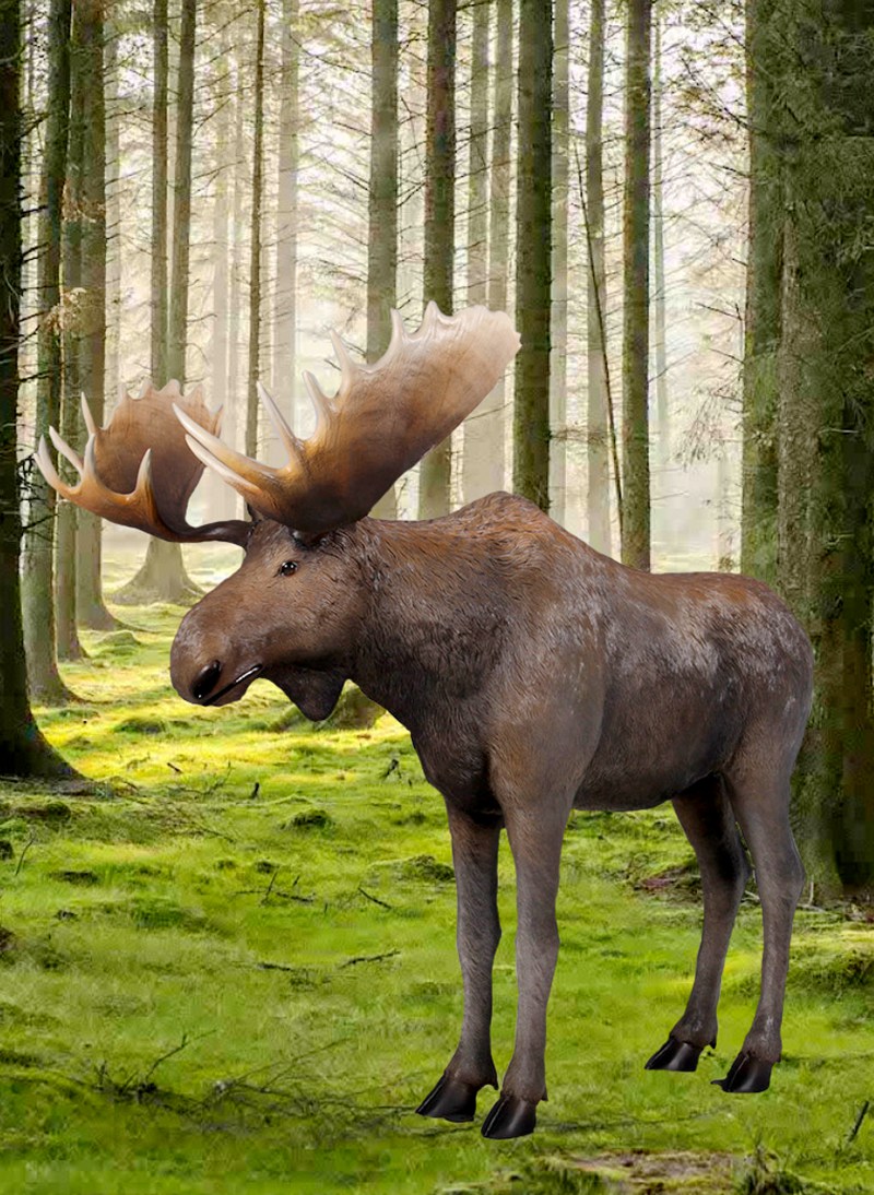 Description of Bronze Moose Sculpture