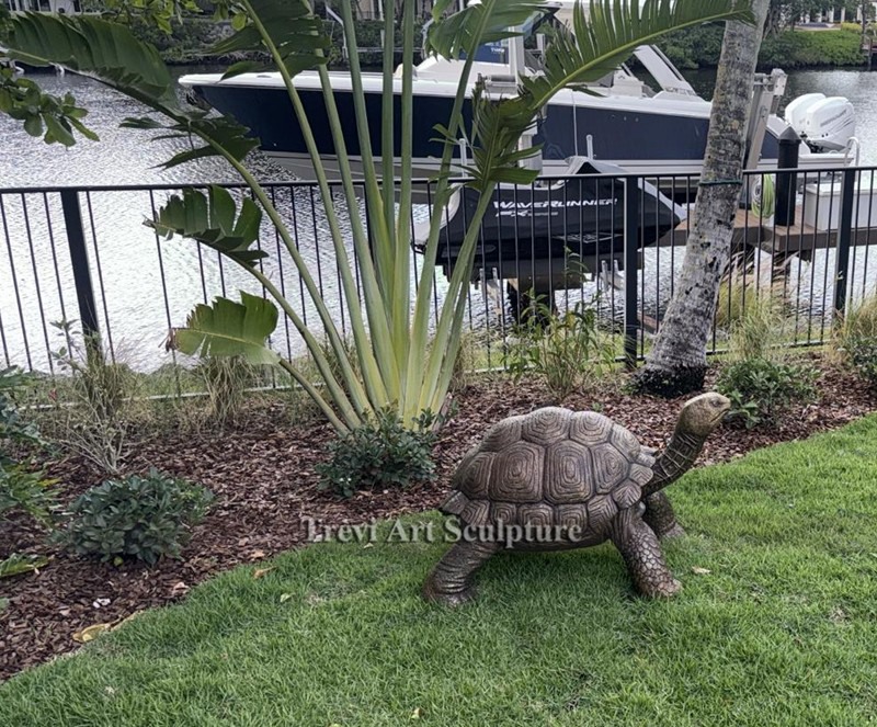 turtle sculpture feedback