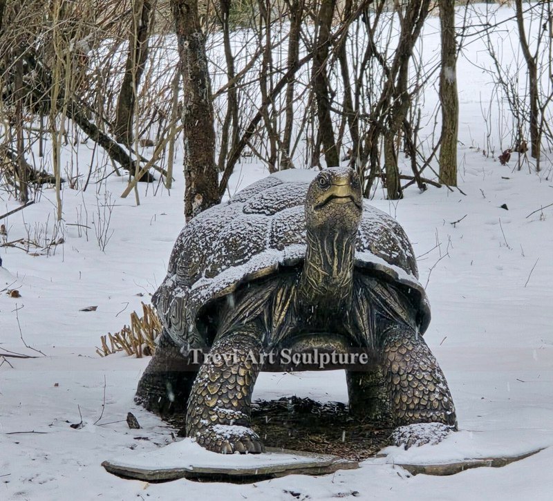 Bronze turtle sculpture feedback