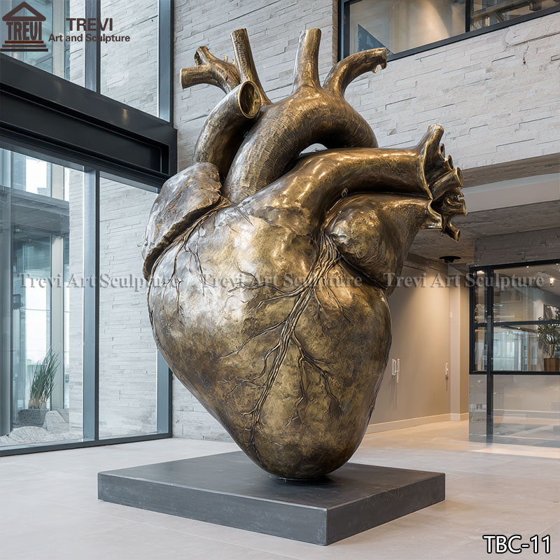 bronze anatomical heart statue for sale