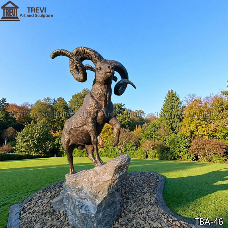 Bighorn Sheep